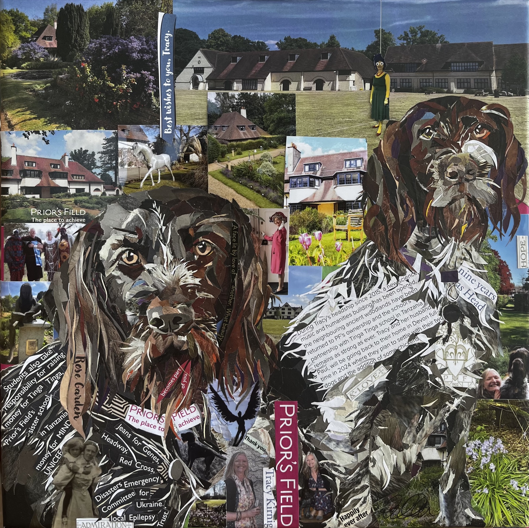 Collage portrait of two wire-haired dogs from Priors Field