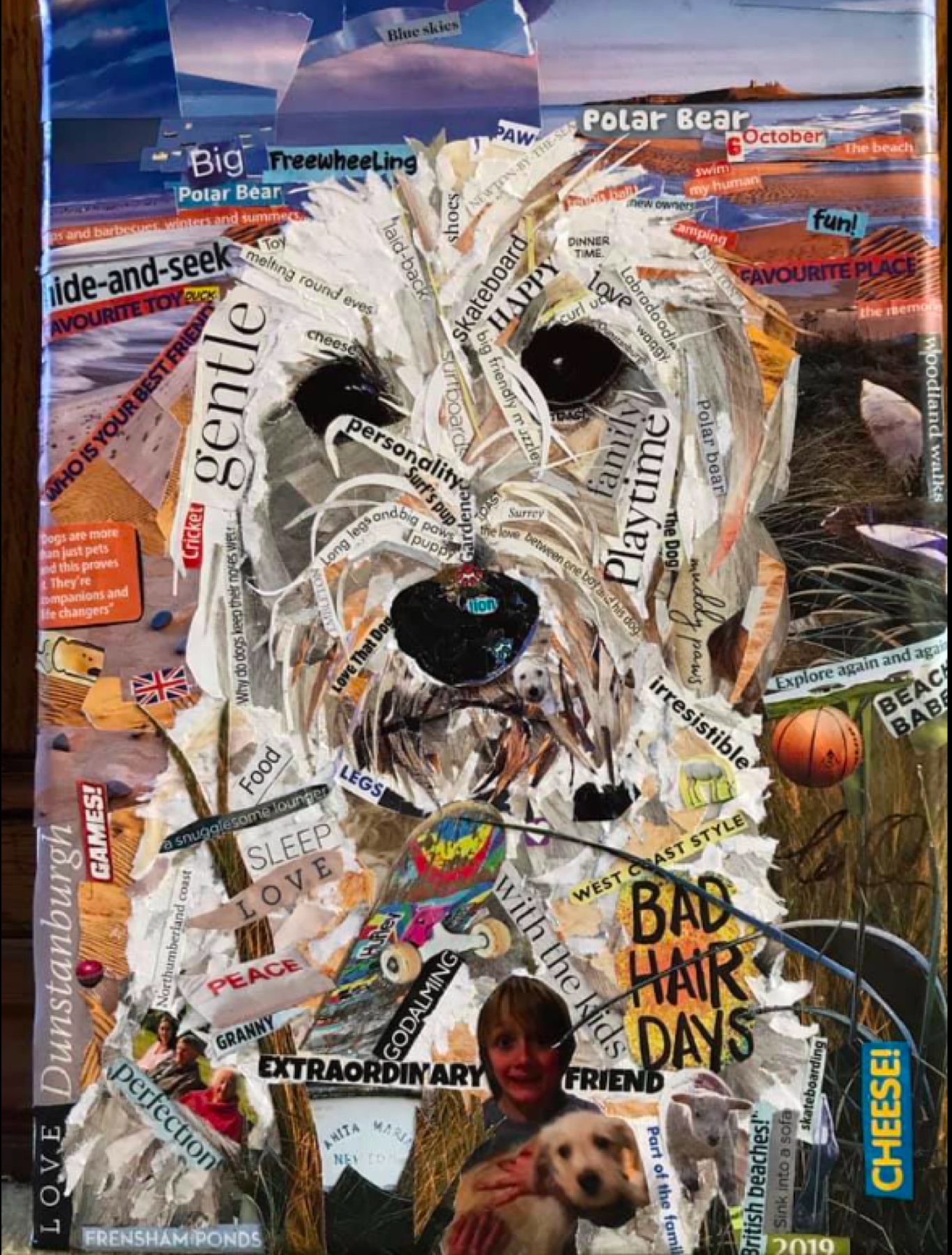 Collage portrait of Newton, a white fluffy dog