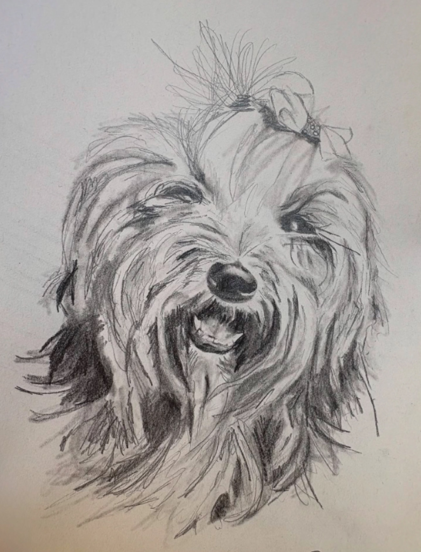 Pencil, ink and watercolour wash portrait of a dog