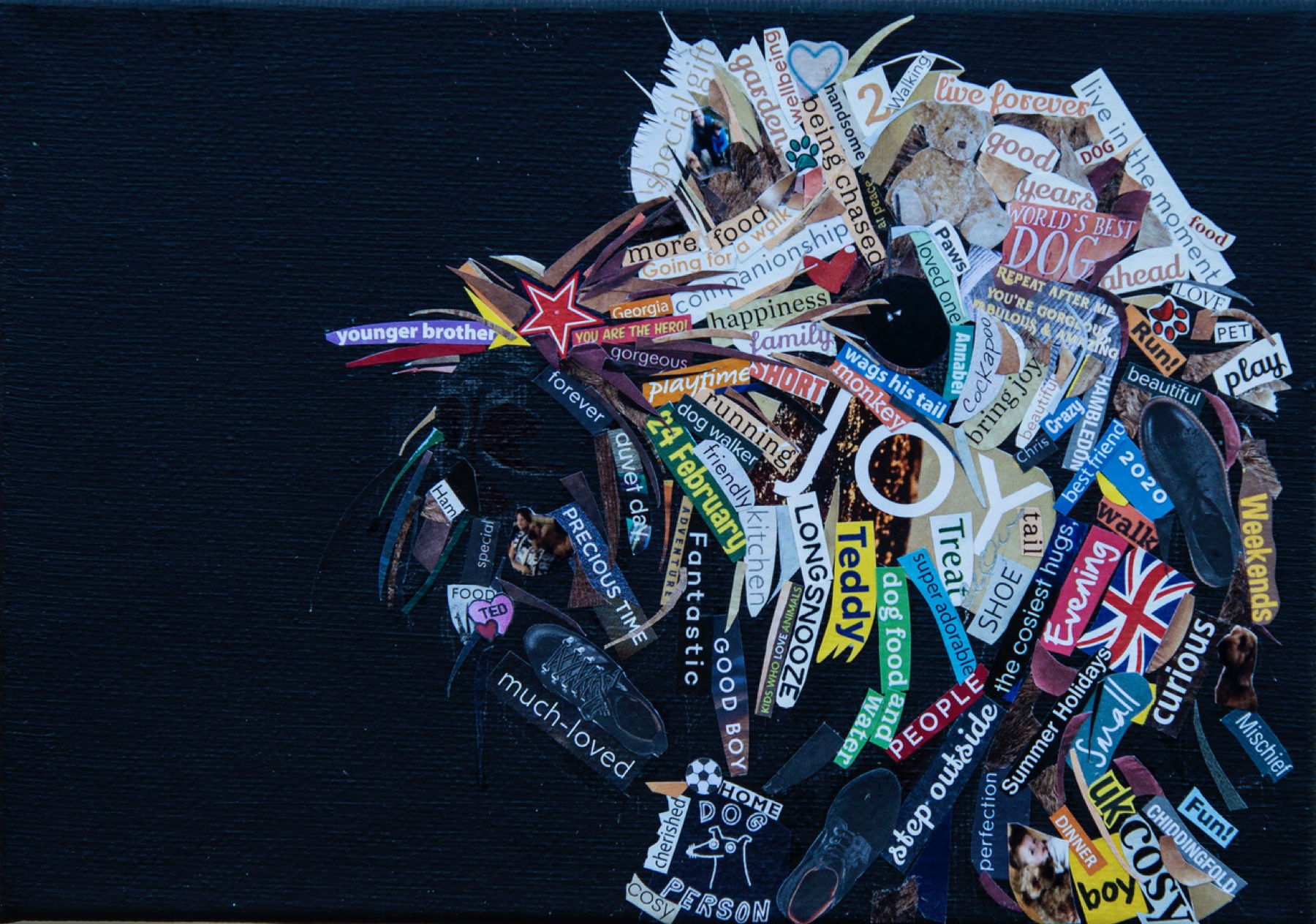 Collage dog portrait on a dark background by CollageTig